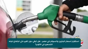 استقرار أسعار البنزين والسولار في مصر.. هل تبقى دون تغير حتى اجتماع لجنة التسعير في أكتوبر؟